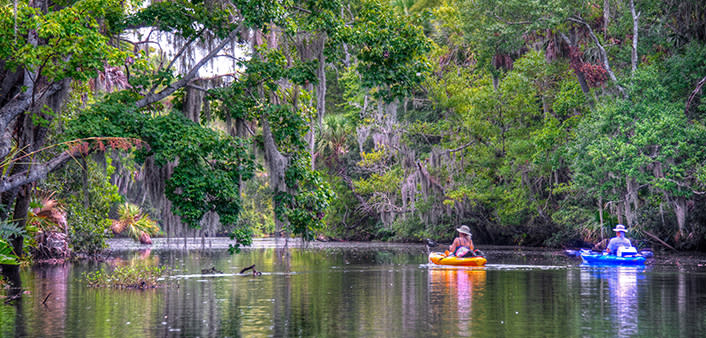Two kayakers explore Spruce Creek