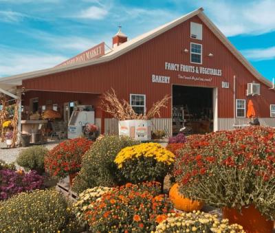 T.A. Farms Orchard Point Market Barn and Mums