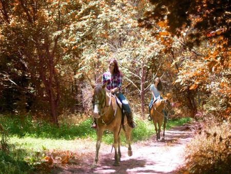 Natural Valley Ranch horseback riding in fall