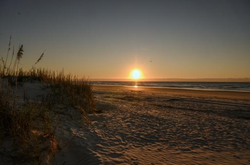 Vibrant sunrise over North Myrtle Beach, South Carolina, casting a warm, golden glow across the tranquil sandy shores. The sun's rays reflect on the gentle waves, creating a picturesque coastal scene with silhouettes of sea grass and beach dunes.