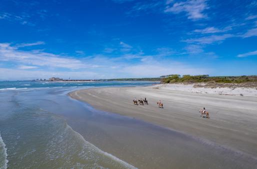 A group horseback rides on the beach of Waites Island with North Myrtle Beach in the distance