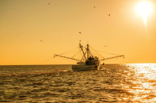 Shrimp Boat in North Myrtle Beach at the Golden Hour