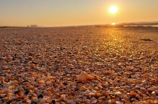 A beautiful shell line in the surf during a North Myrtle Beach Sunrise