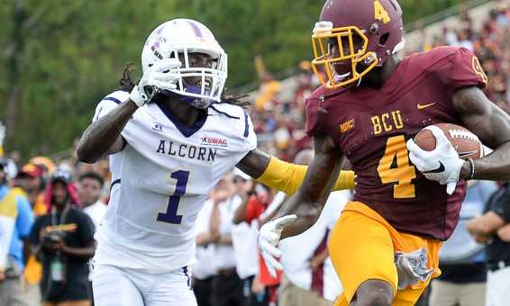 Bethune Cookman Wildcats