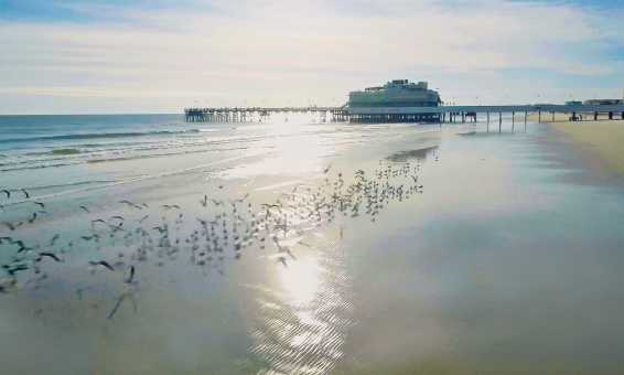 Pier Shot