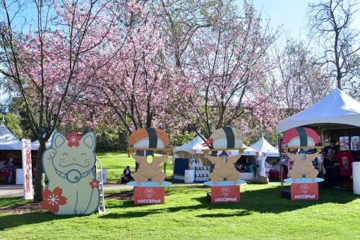 Cherry Blossom Festival