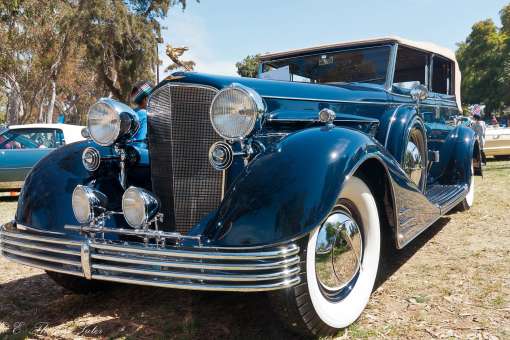 Hot Wheels at Concours d' Elegance