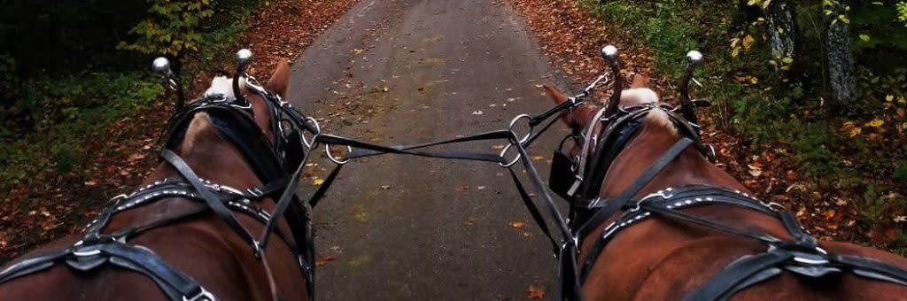 Mackinac Island offers the opportunity for drive-it-yourself horse drawn carriage rides along miles of wooded trails.