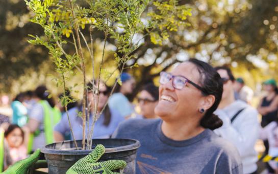 NeighborWoods Tree Giveaway