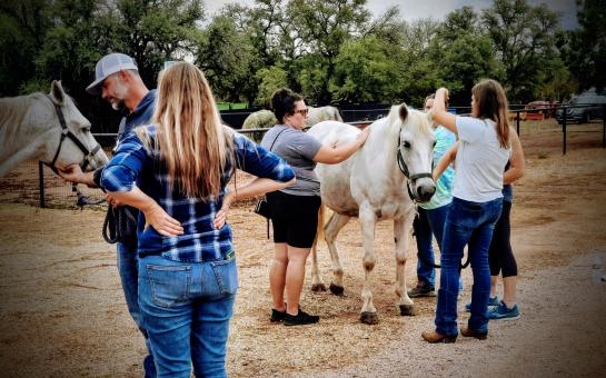 Team Building Activities with Horses and Archery