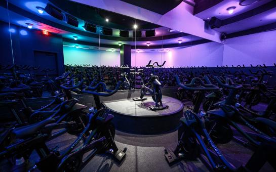 Cycle Studio