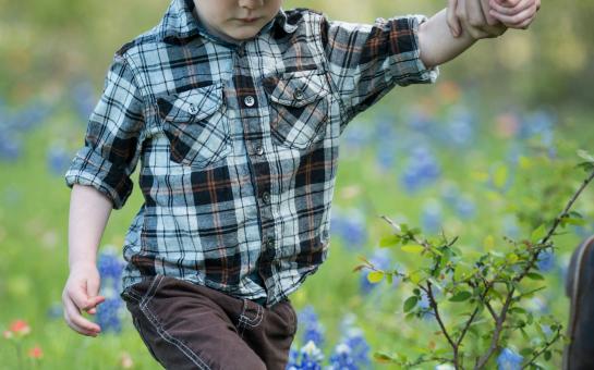 Blue Bonnet