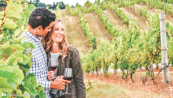Wine Editorial 2026