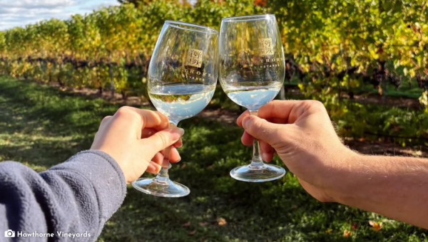Wine Editorial 2026