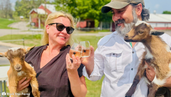 Wine Editorial 2026