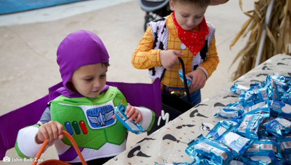 Halloween Editorial 2026