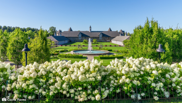 West MI Weddings