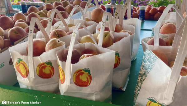 Barden Farm Market
