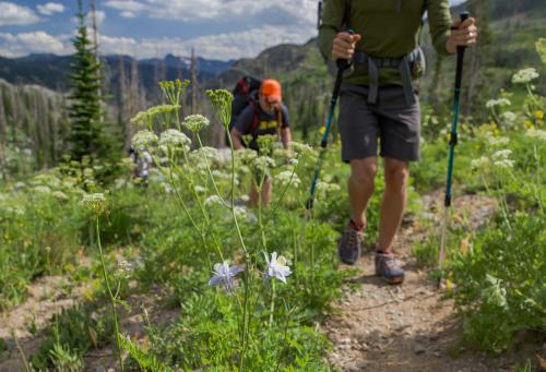 Hiking along the trail outside of Steamboat Springs, Colorado