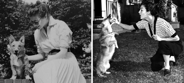 Ava Gardner with corgi Rags