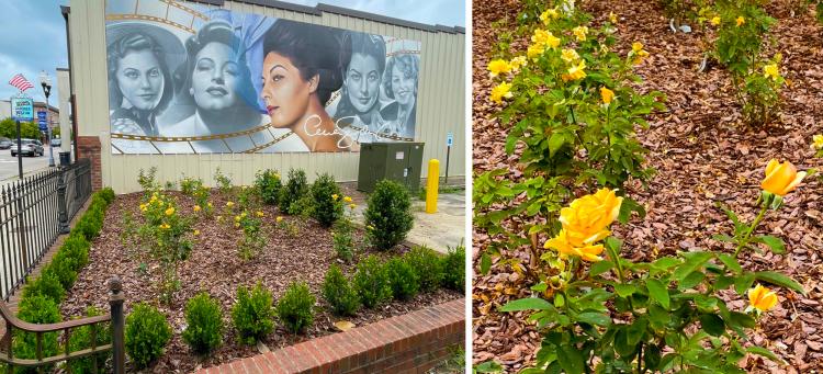 Ava Gardner Mural & Rose Garden