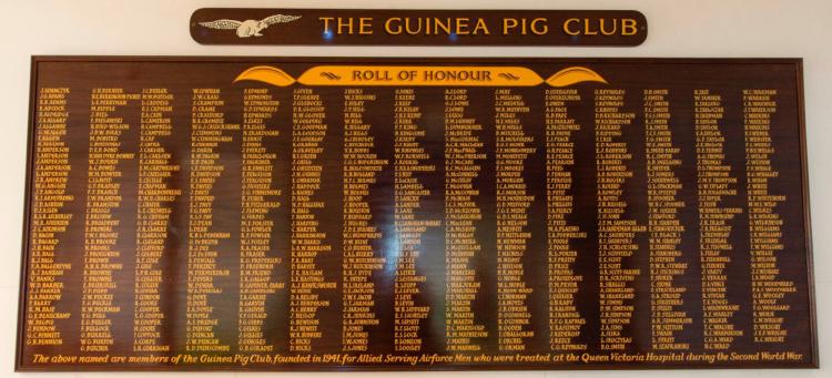 The Guinea Pig Club