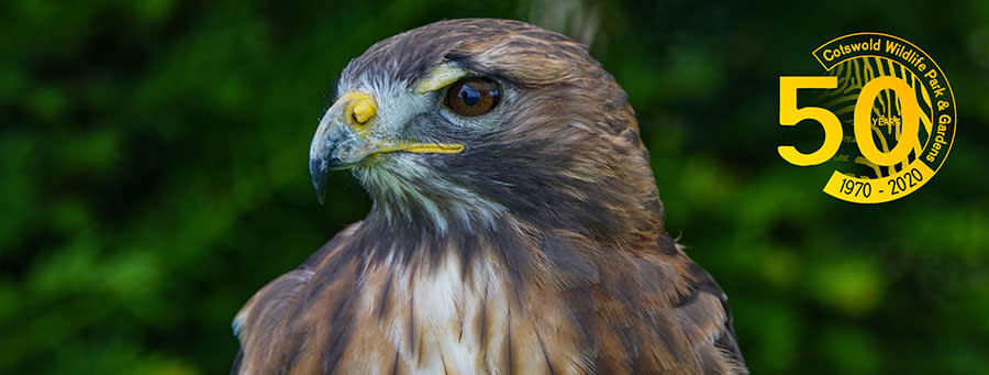Cotswold Wildlife Park