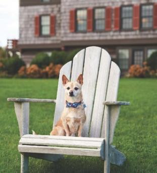 Yappy Hour at Weekapaug Inn