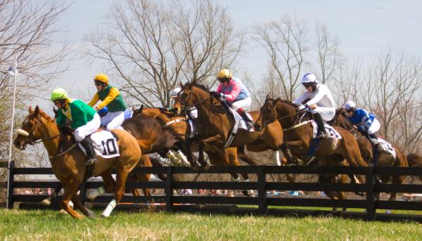 My Lady's Manor Steeplechase Races