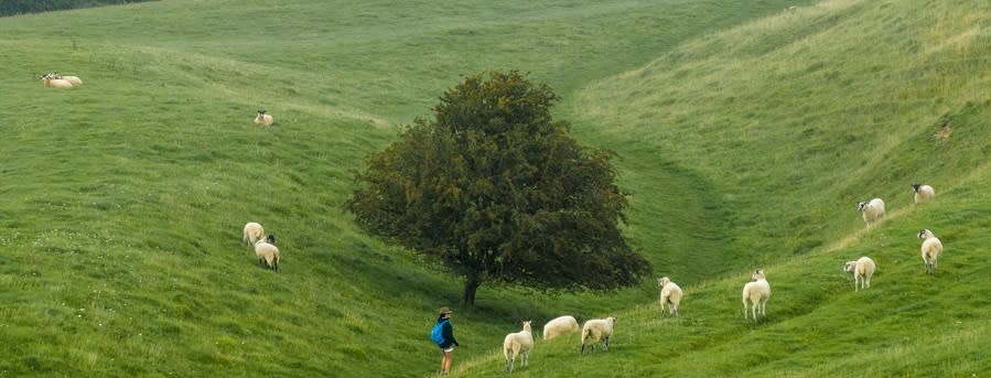 Cotswold Walks
