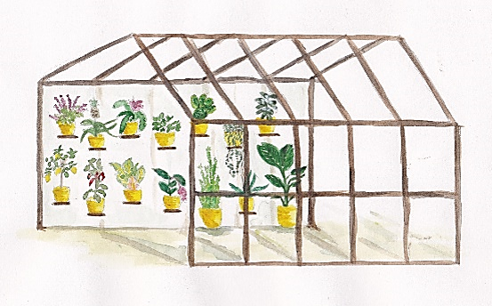 RHS Urban Flower Show