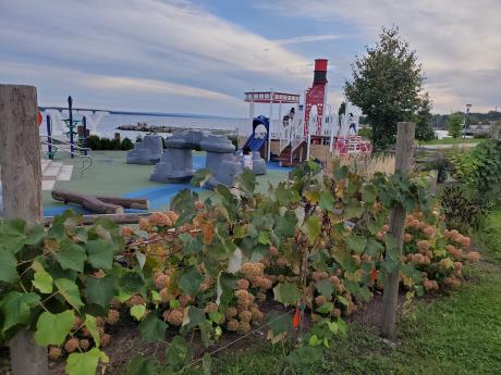 vines on wire fence with a playground and lake in the background