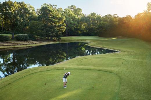 Lake Conroe Links