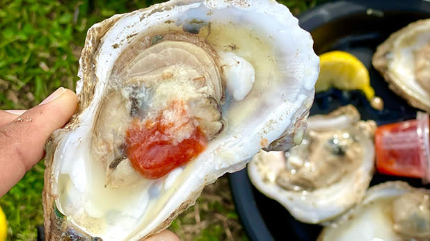 Close up of an oyster with a dollop of hot sauce at Oyster Fest in Oyster Bay
