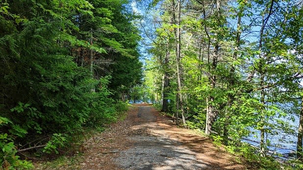 A tree-lined gravel path near Schroon Lake at Scaroon Manor Campground