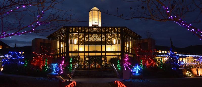 CFBG Holiday Lights-2