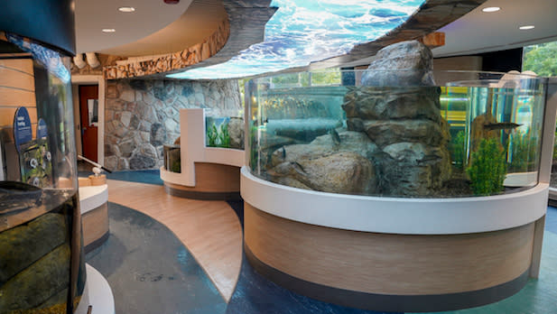 Fish tanks filled with rocks, green vegetation, and fish