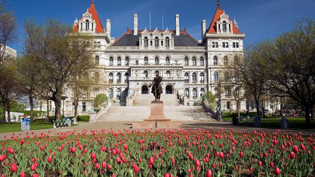 Colorful tulips bloom in front of the New York State Capitol Building