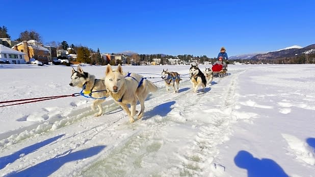 Dog Sledding on Mirror Lake