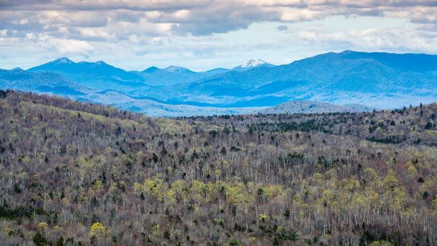 An expansive view of the Adirondacks from Coney Mountain