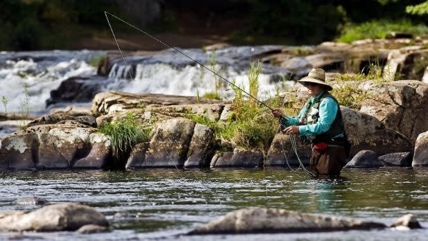 A man fly fishes in a stream