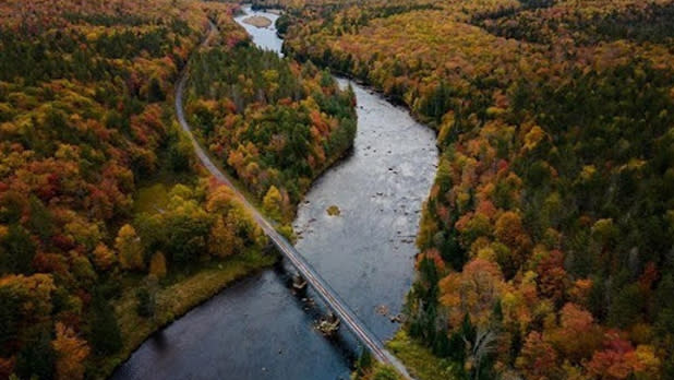 Aerial view of train tracks running over a river and through colorful fall foliage
