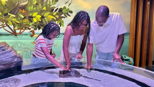 A family of three interacts with a stingray in a touch tank at the Aquarium of Niagara. They appear curious and engaged, surrounded by a colorful mural of marine life.