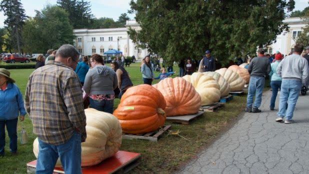 The Saratoga Giant Pumpkinfest