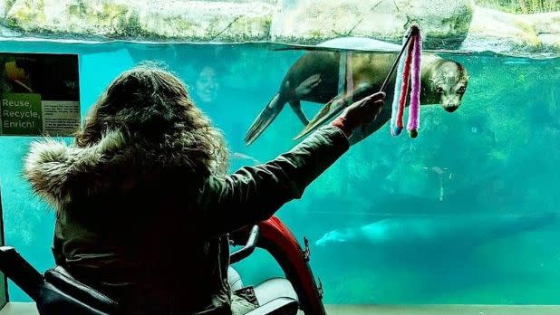 Woman holding a toy out for sea lion at the Seneca Park Zoo in Rochester, New York