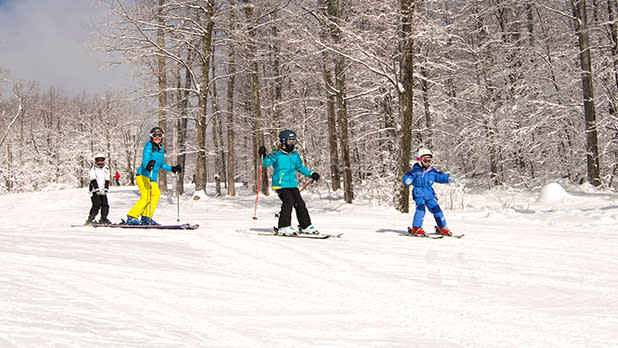 An adult and three children skiing past trees down a slope at Bristol Mountain