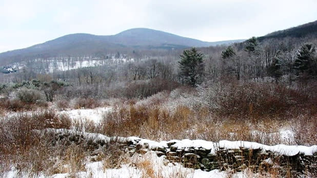 A snowy landscape as seen from the Catskill Scenic Trail