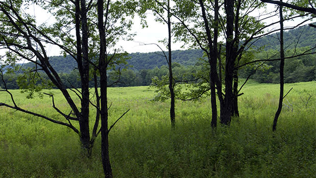 Catskills