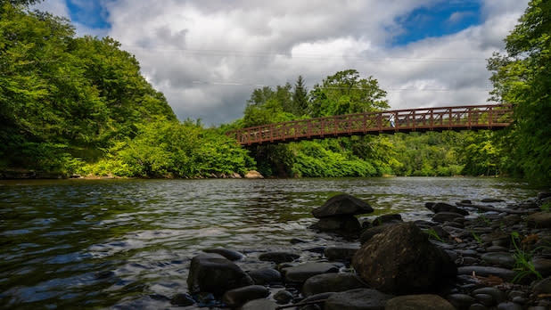 view of a bridge surrounded by green vegetation from the edge of Willowemoc Creek in the Catskills