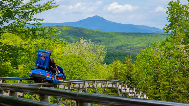 A blue coaster rides tracks amid forest canopy with mountain views